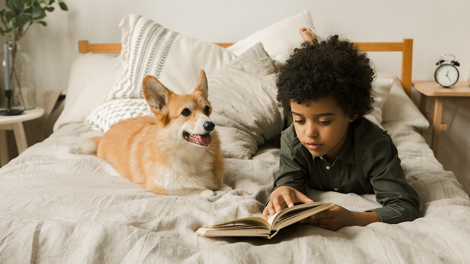 boy with curly hair lying on bed reading to a corgi