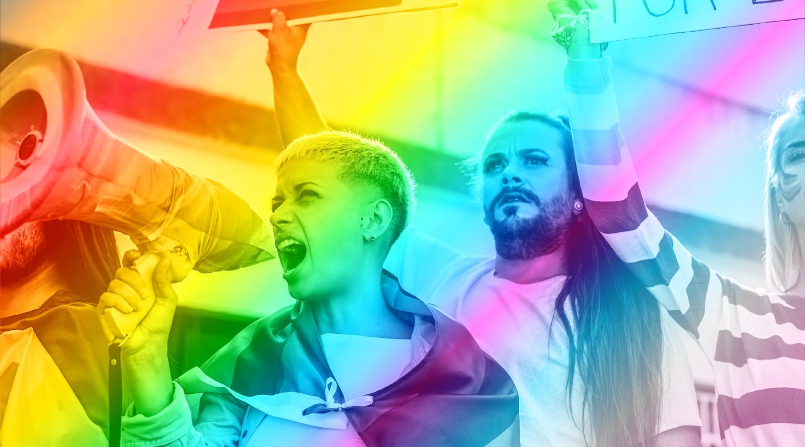 Pulse Remembrance Day