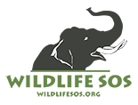 Wildlife SOS