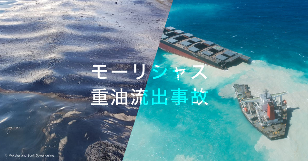 緊急署名 商船三井さん モーリシャス重油流出事故の責任を果たしてください