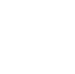 HNP