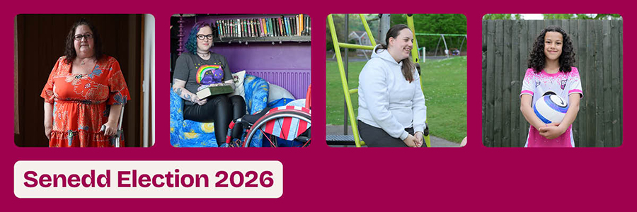 Senedd Election 2026