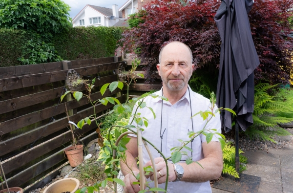 Living with arthritis