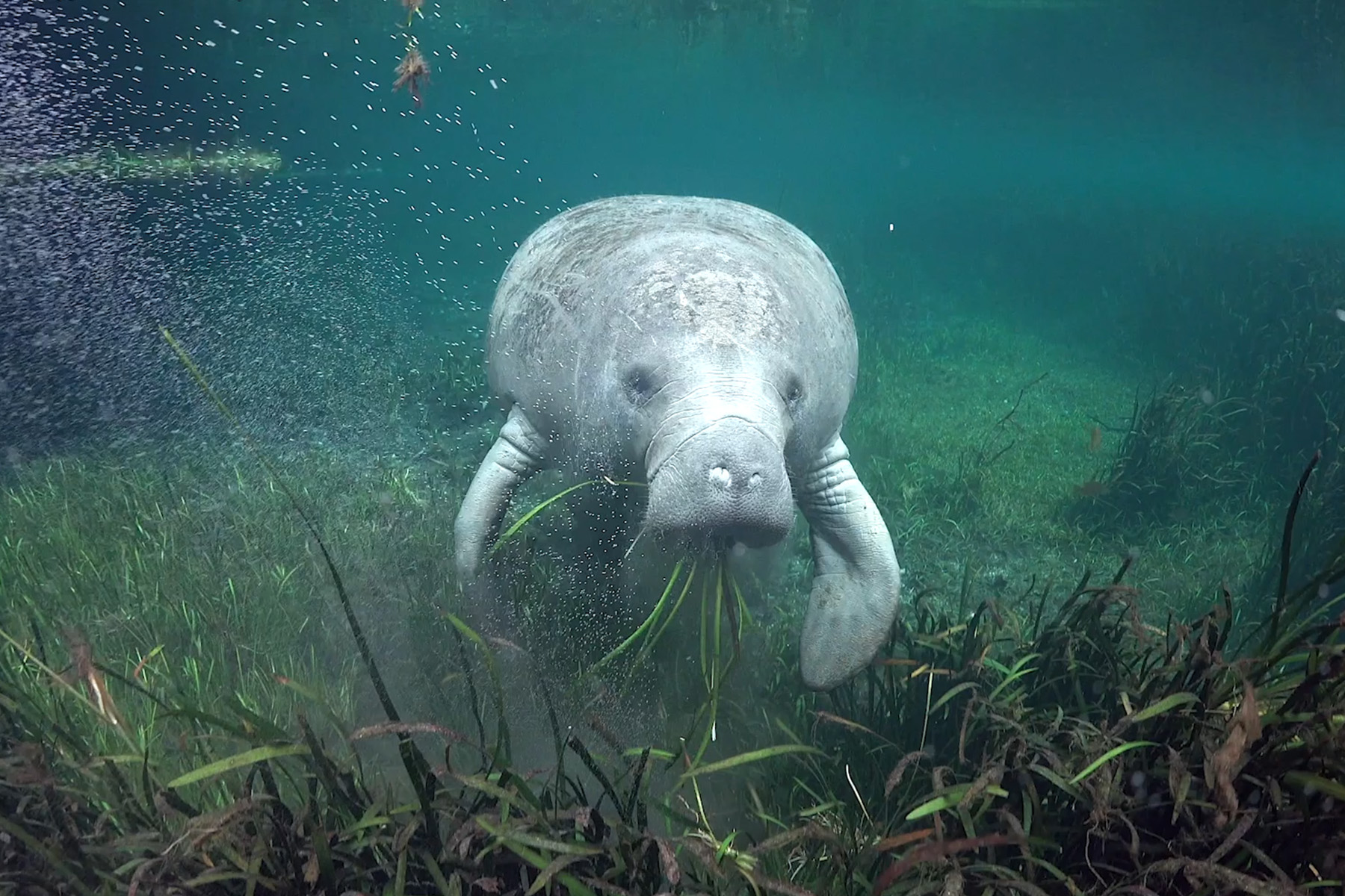 Description of photograph to highlight the work we’re doing at the Ocean Conservancy.