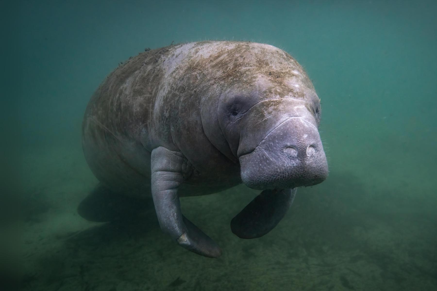 Description of photograph to highlight the work we’re doing at the Ocean Conservancy.