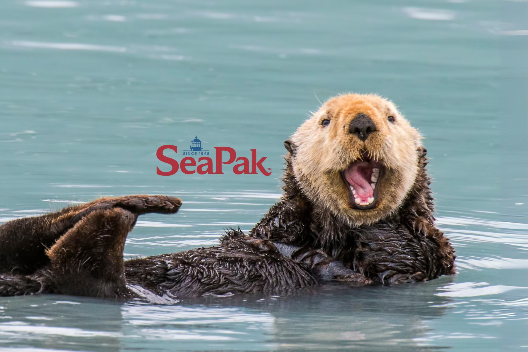 Sea otter swimming in the ocean.