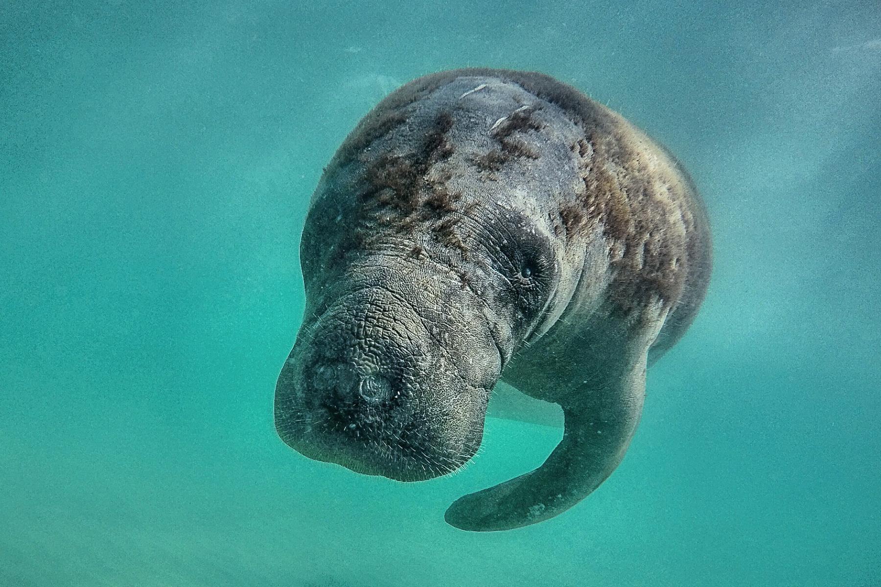 Description of photograph to highlight the work we’re doing at the Ocean Conservancy.