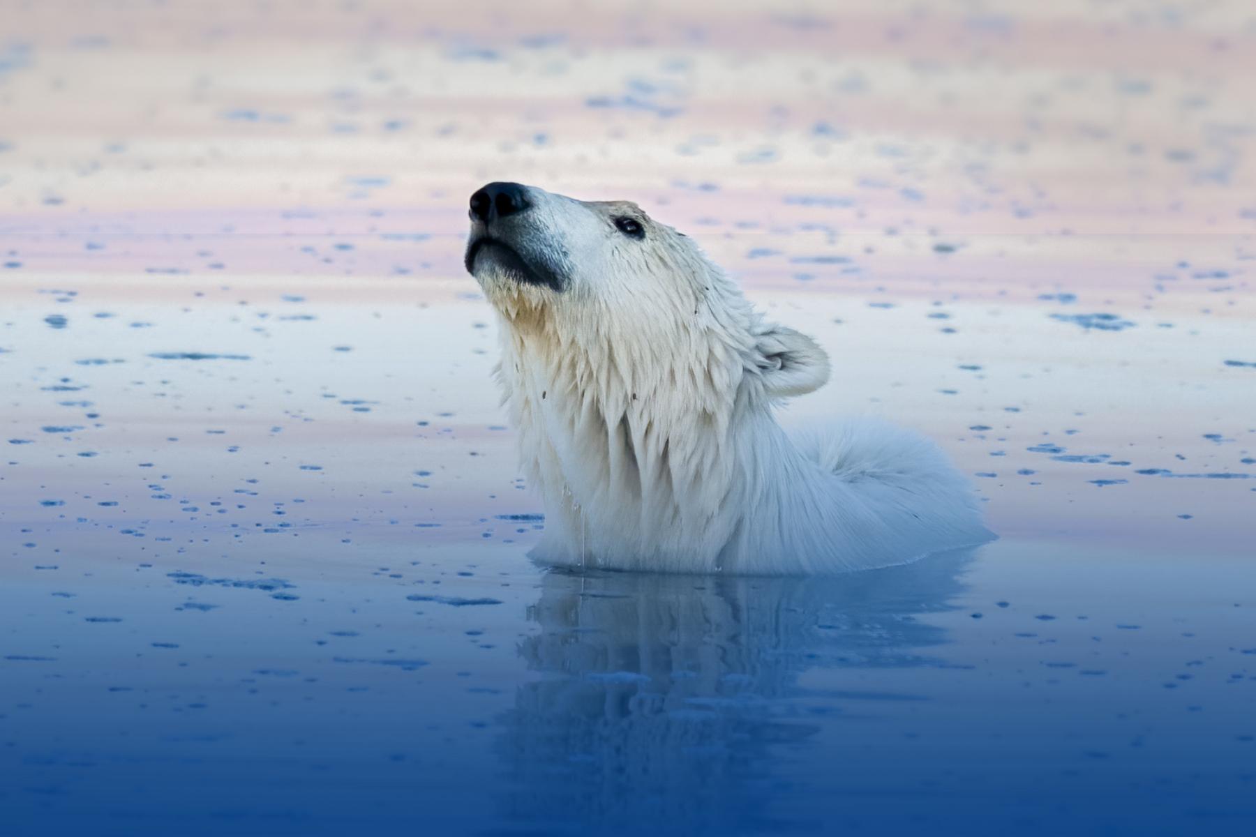 Description of photograph to highlight the work we’re doing at the Ocean Conservancy.