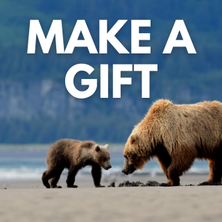 Make a gift