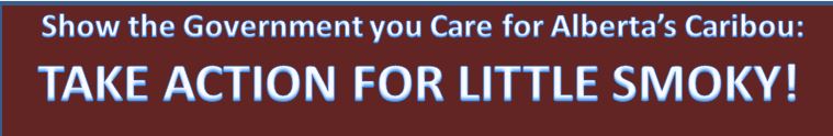 LittleSmoky-Jul2016-banner.JPG LittleSmoky-Jul2016-banner.JPG