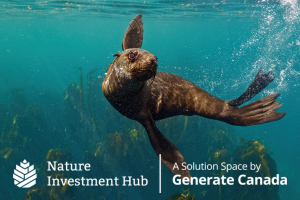 A seal swimming in the ocean with the logo for Nature Investment Hub. Text says “A Solution Space by Generate Canada”.