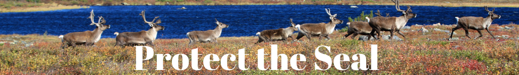 protect the seal banner with caribou