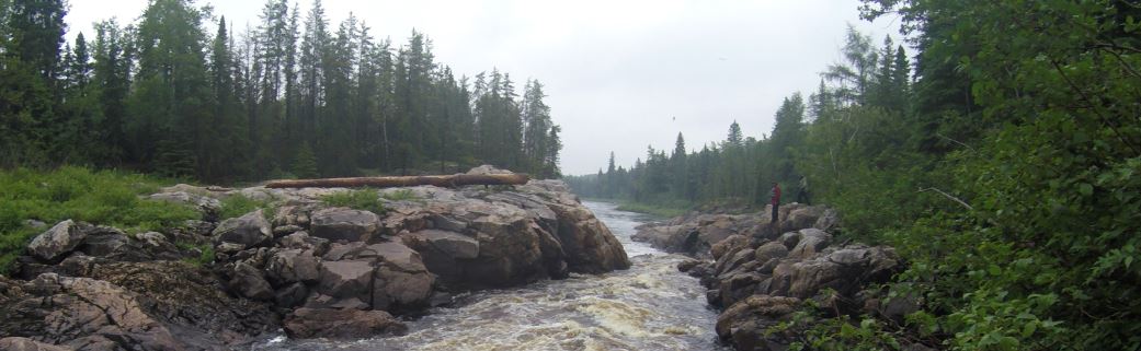 WL moose-cree-boreal action pg banner.JPG WL moose-cree-boreal action pg banner.JPG