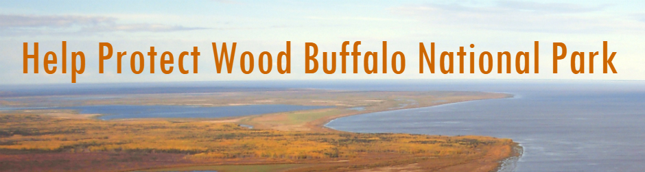 WoodBuffaloNP_Banner.jpg WoodBuffaloNP_Banner.jpg