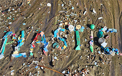 Add your name to help tackle plastic pollution!