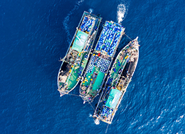 Oceana Investigation Keeps One of the World’s Largest Fish Factory Vessels on Illegal, Unreported and Unregulated Fishing List
