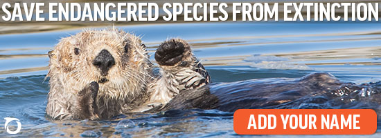 Save endangered species from extinction