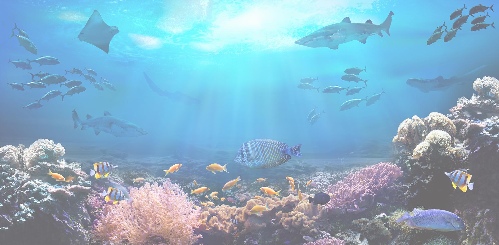 oceana