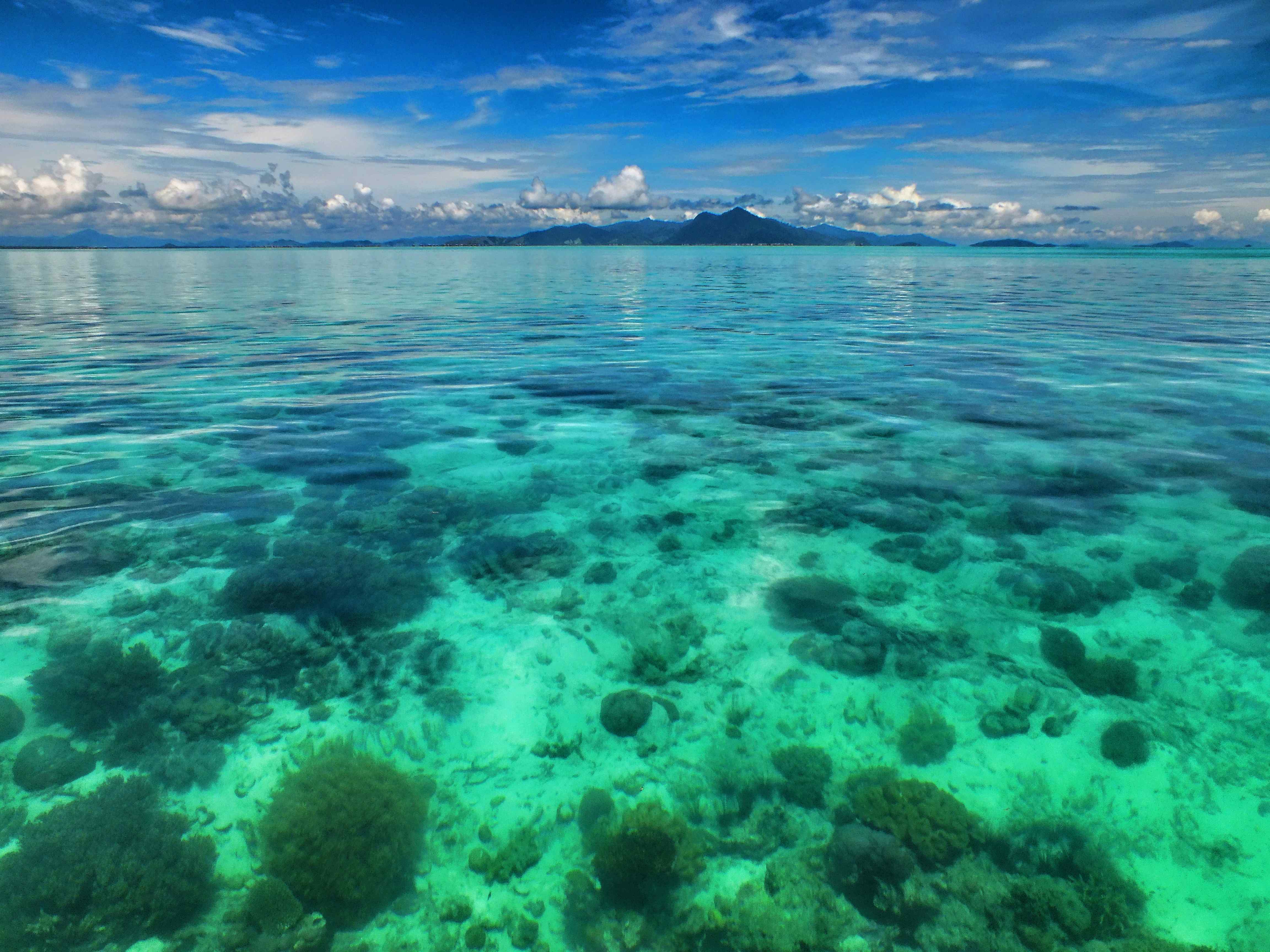 oceana