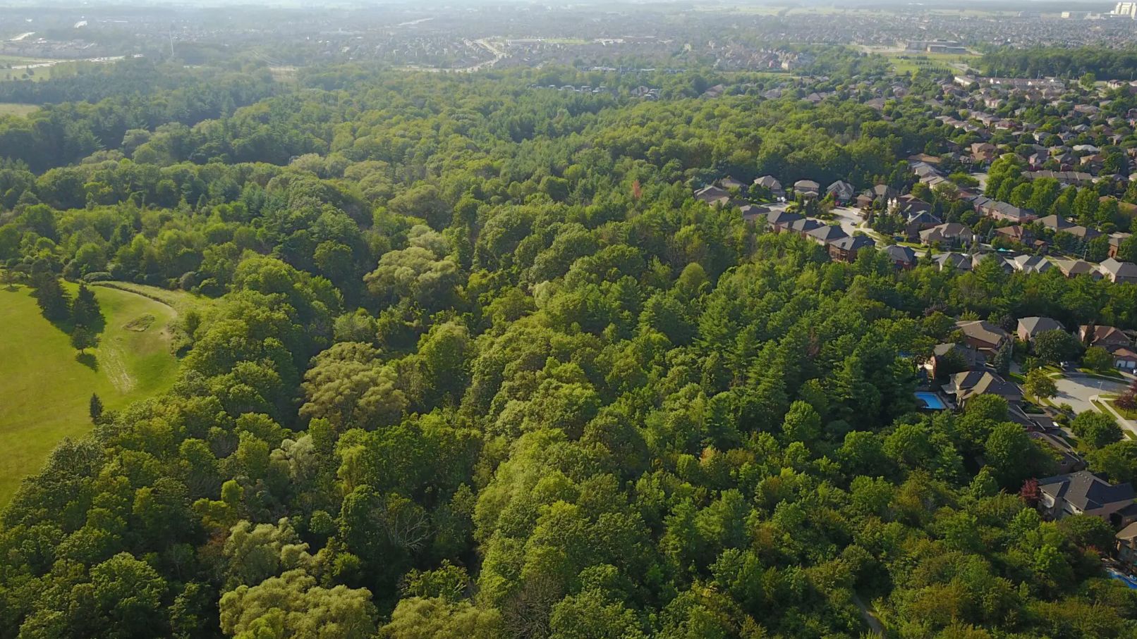 Subdivision backing onto forestry