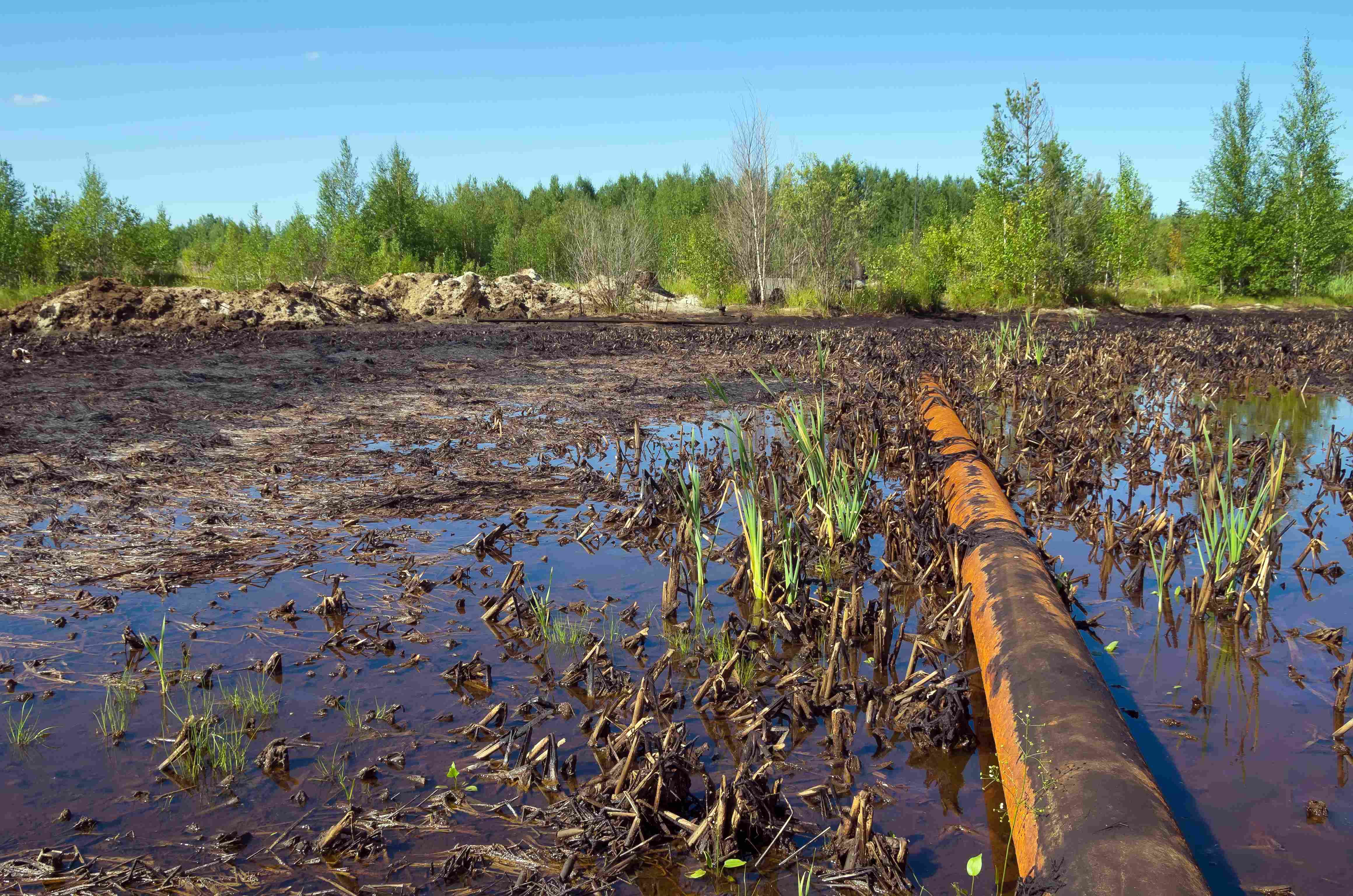 environmental-defence-canada