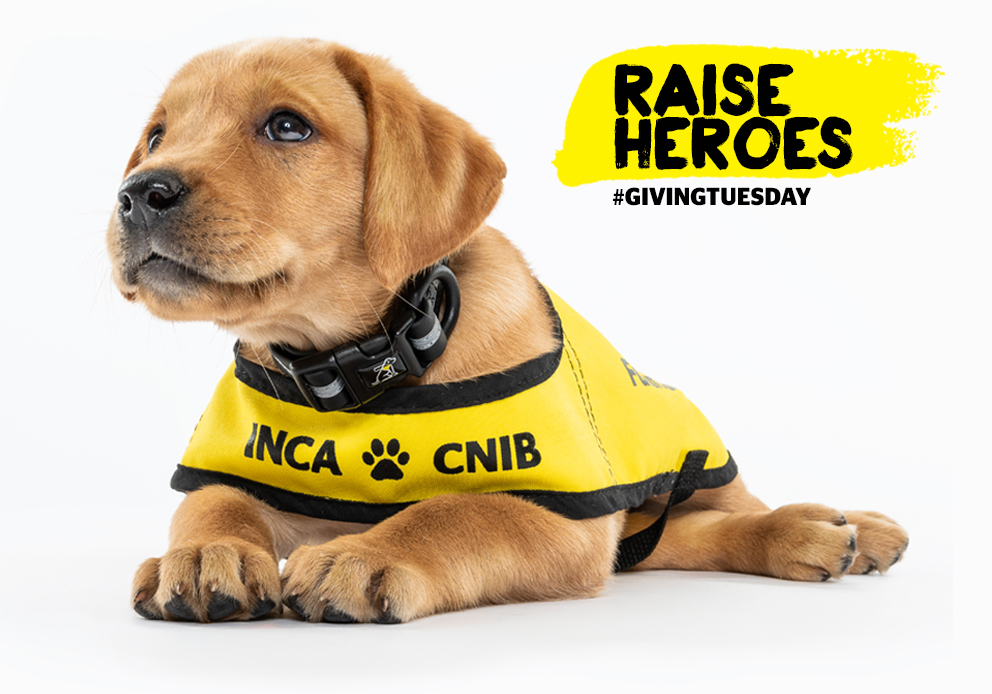 A puppy wearing a yellow Future CNIB Guide Dog vest. The text reads: Raise Heroes. #GivingTuesday