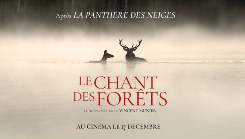 Description of image