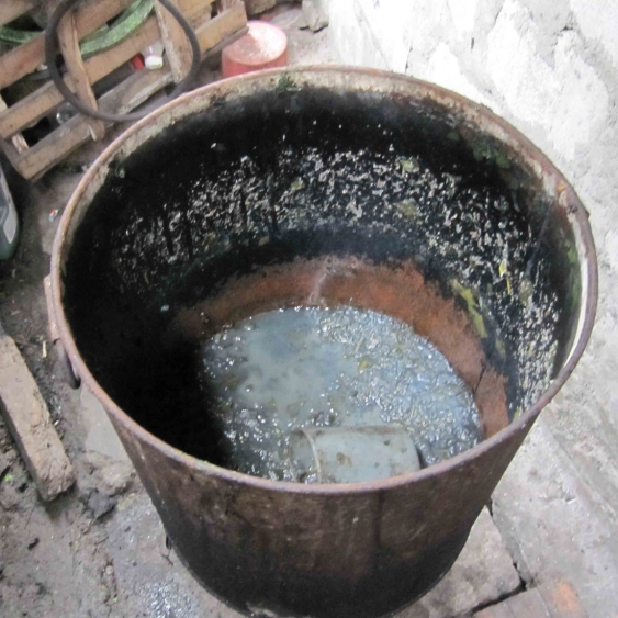 Ein schmutziger Topf mit wässrigem, grauen Getreidebrei – bei dem Anblick dreht sich einem der Magen um. Das ist das widerliche Zeug, das Gallebären erhalten, damit sie am Leben bleiben.