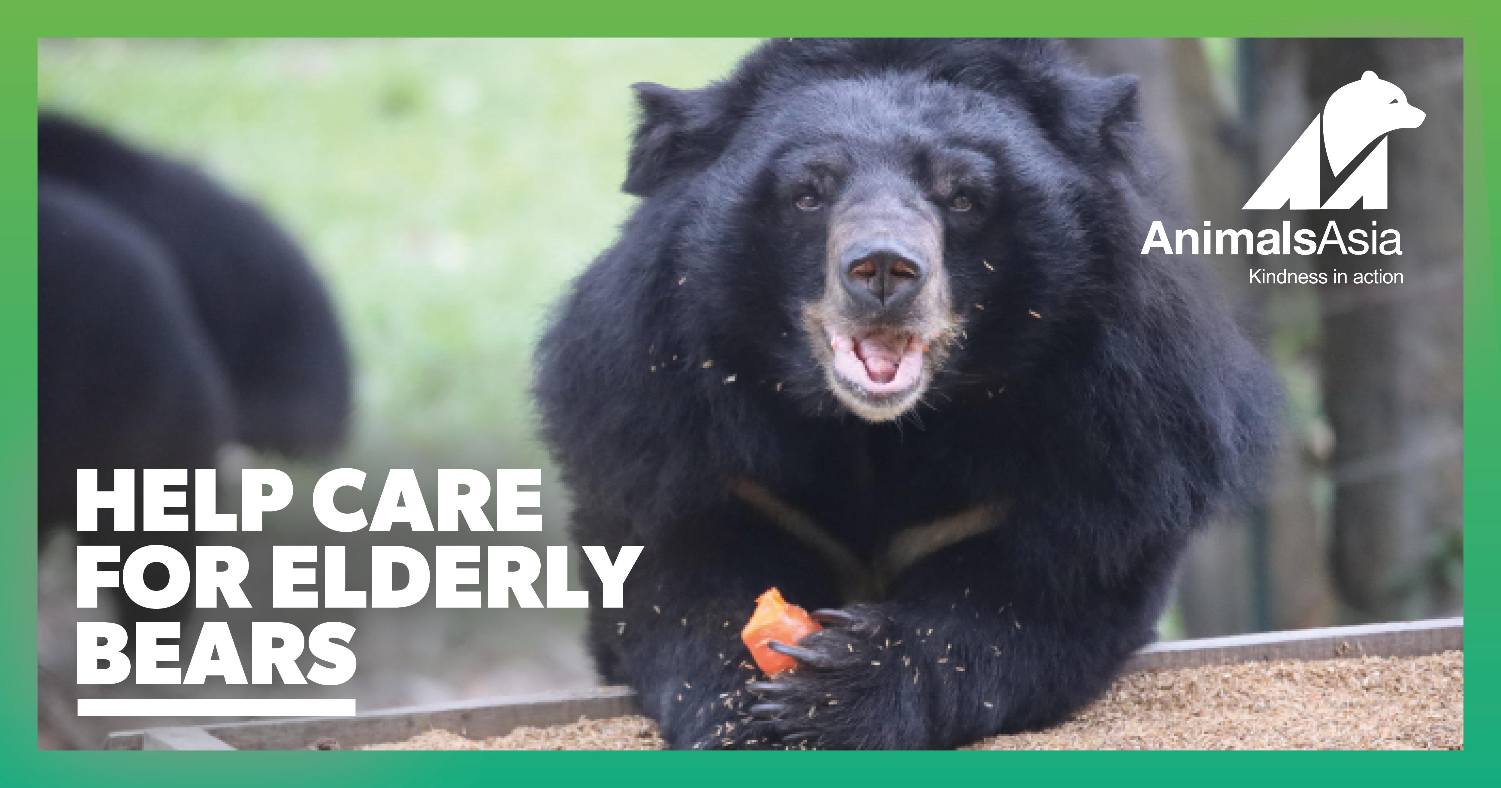 Animals Asia | Make a donation to Animals Asia