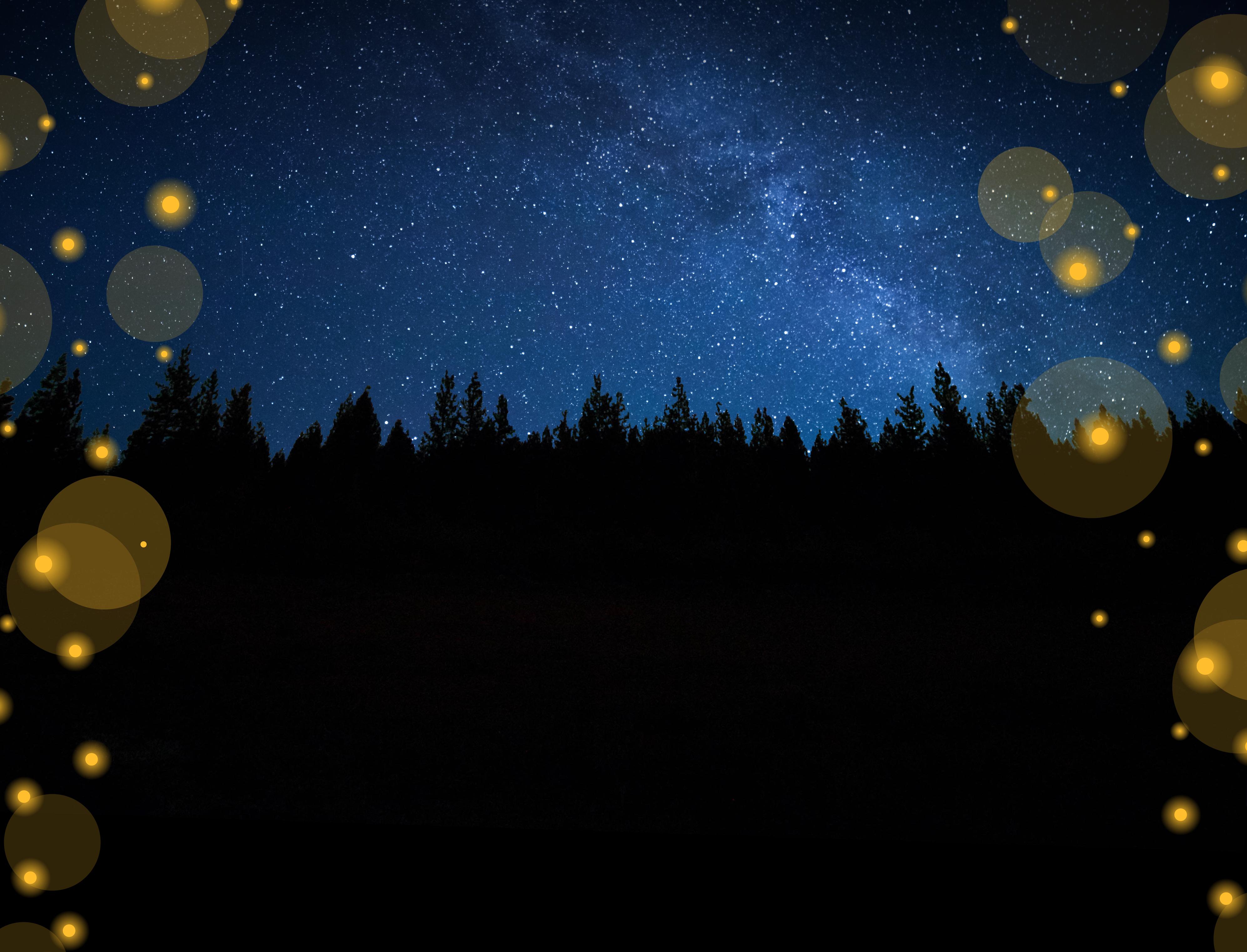 stars in the night sky