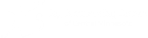 Big Brothers Big Sisters of Central Minnesota