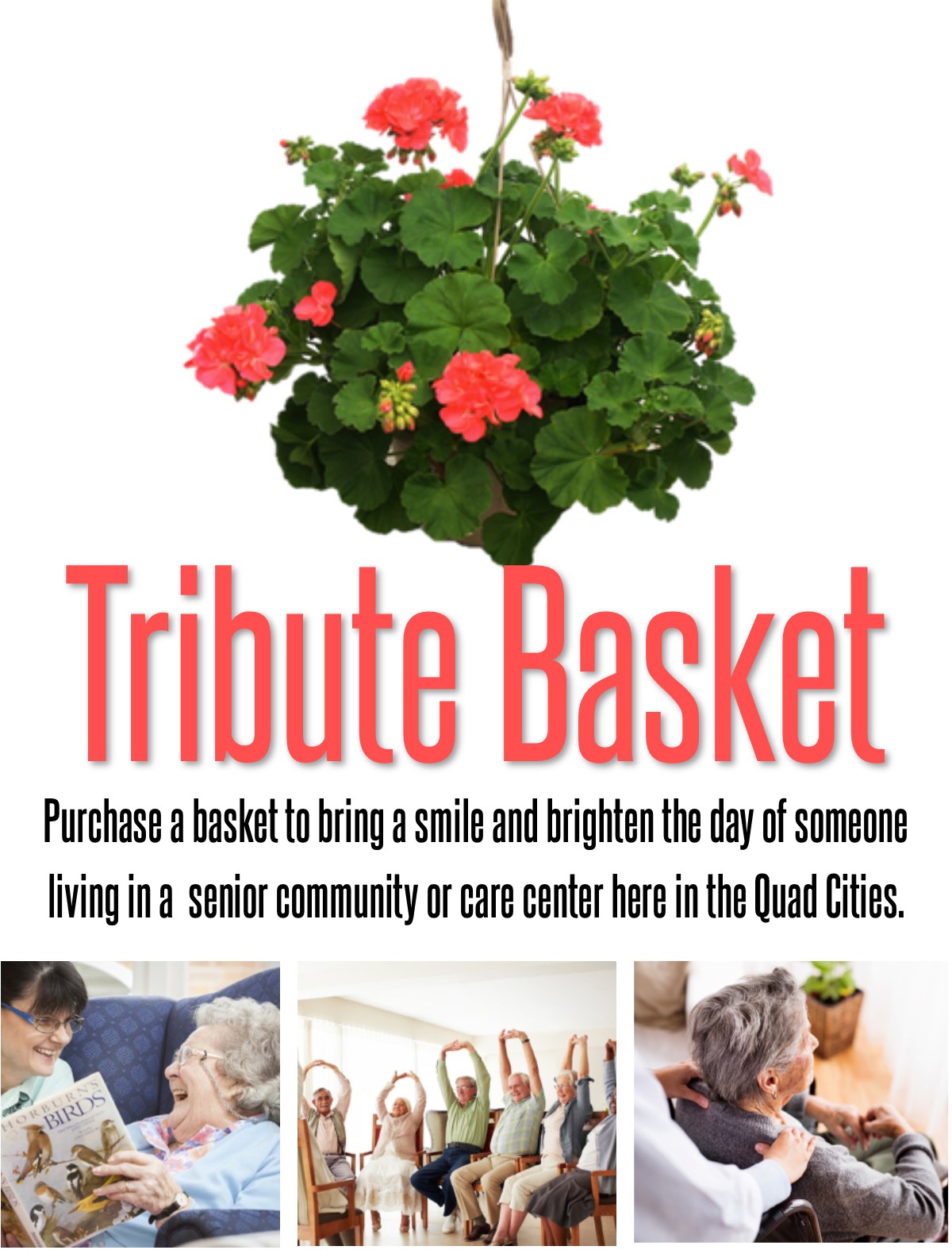 Tribute Hanging Basket