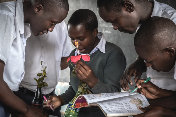 Tanzanian youth holding local flowers while looking at a botanical book.
