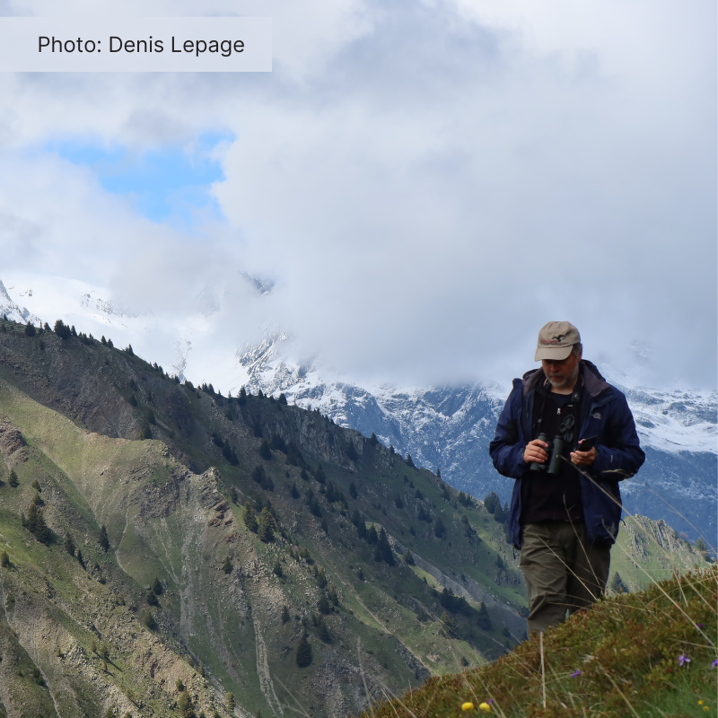 Denis Lepage looks down at his binoculars with mountains in the background.