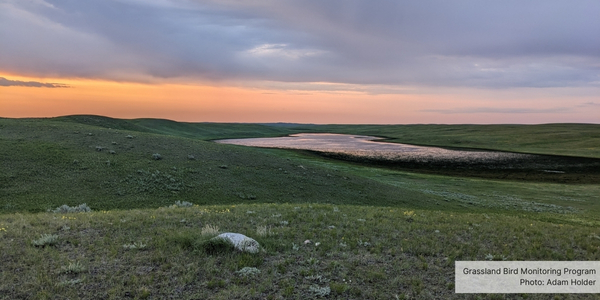 Sunrise over a grassland landscape