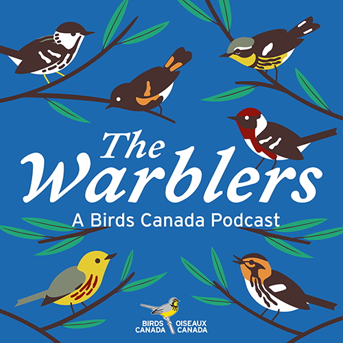 Warblers Podcast logo with 6 illustrated warblers on blue background