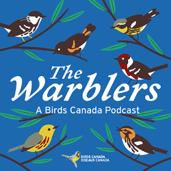 The Warblers Podcast cover illustration with blue background and six different warblers