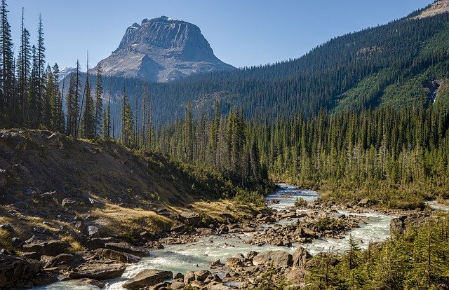 Photo of a river, trees, and mountains in British Columbia