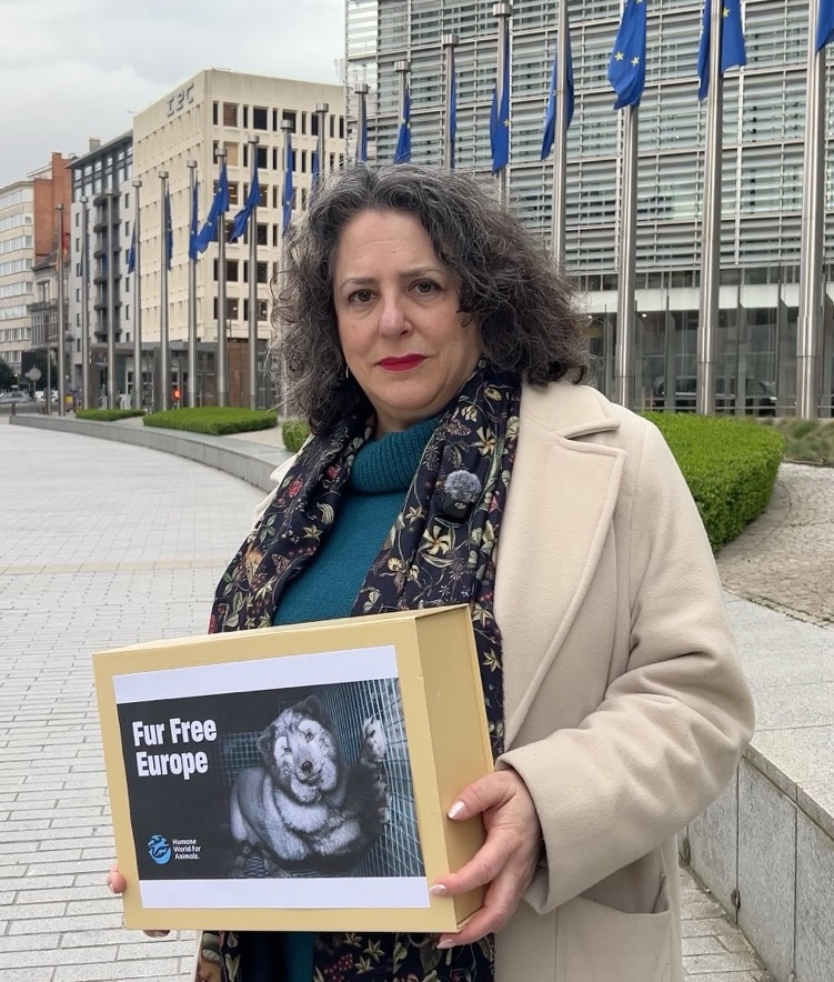 Humane World for Animals