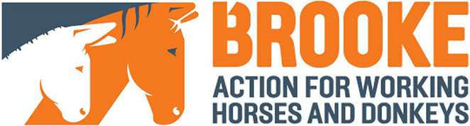 Brooke - action for working horses and donkeys