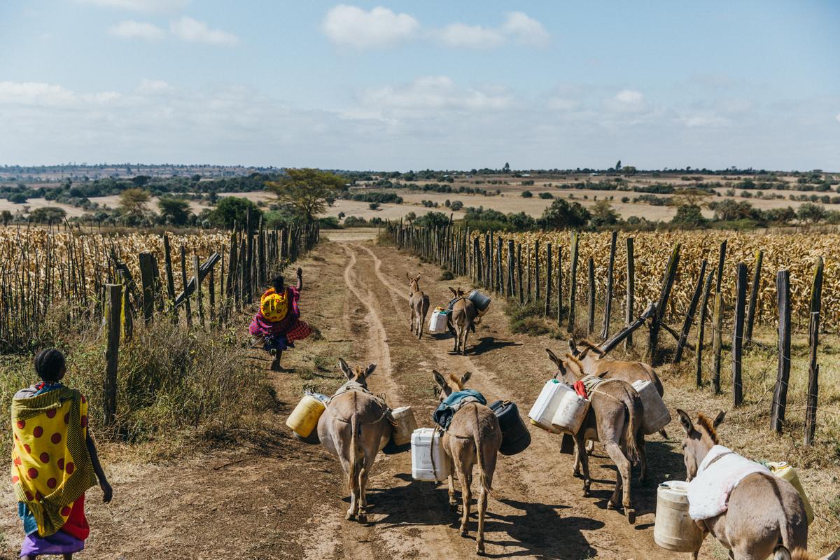 Women transport water with donkeys in Kenya