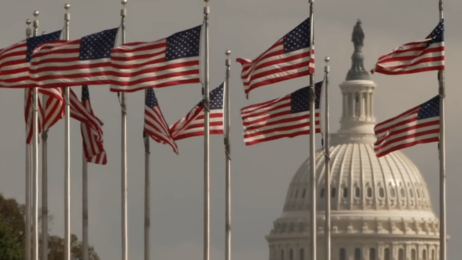 Image of several American flags in front of the White House