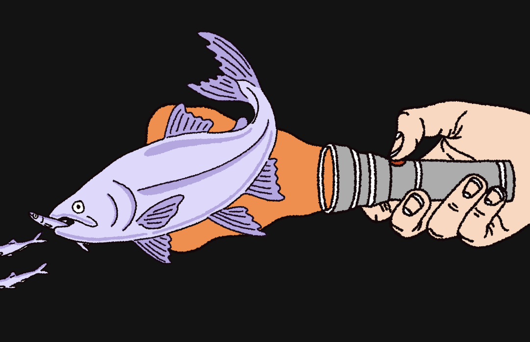 Affirm Fish Tell Abel & Cole to stop ‘fooling’ their customers
