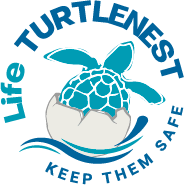 Diventa custode delle tartarughe marine! 