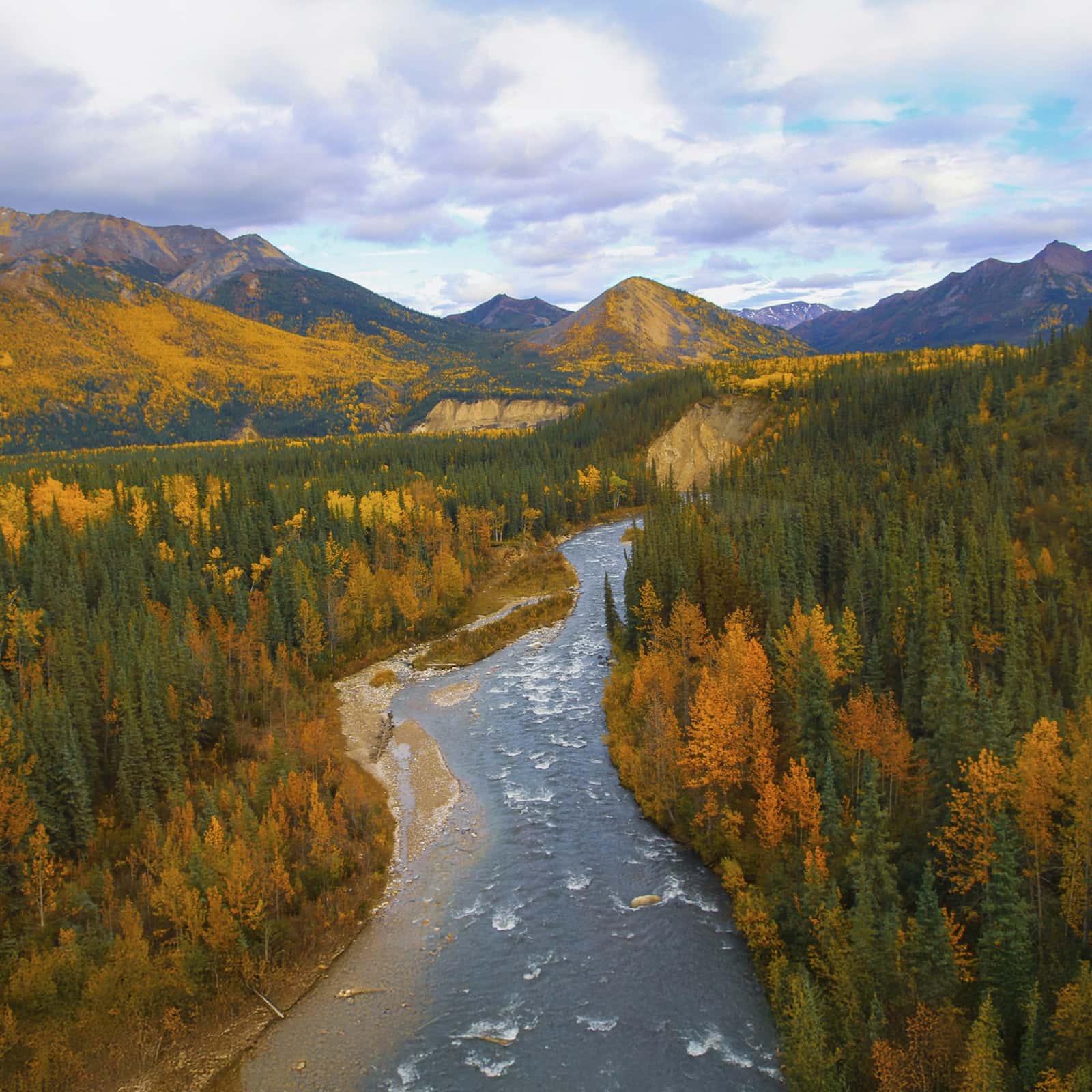 Alaskan wilderness in Denali, from the McKinley Explorer Train. © Tamara Hayes/TNC Photo Contest 2019