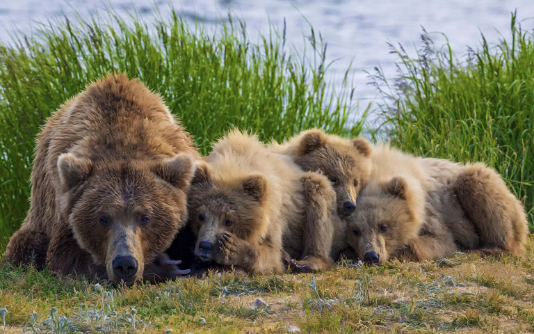 Snuggle time © Pam Dorner/TNC Photo Contest 2019