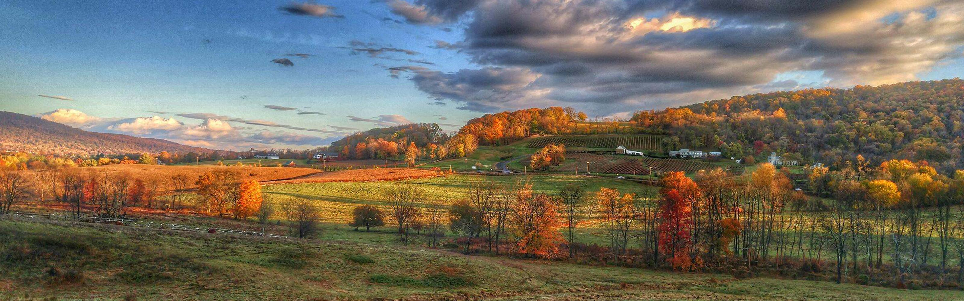 Foothills of the Blue Ridge Mountains in Virginia © Greg Duthie/TNC Photo Contest 2021 