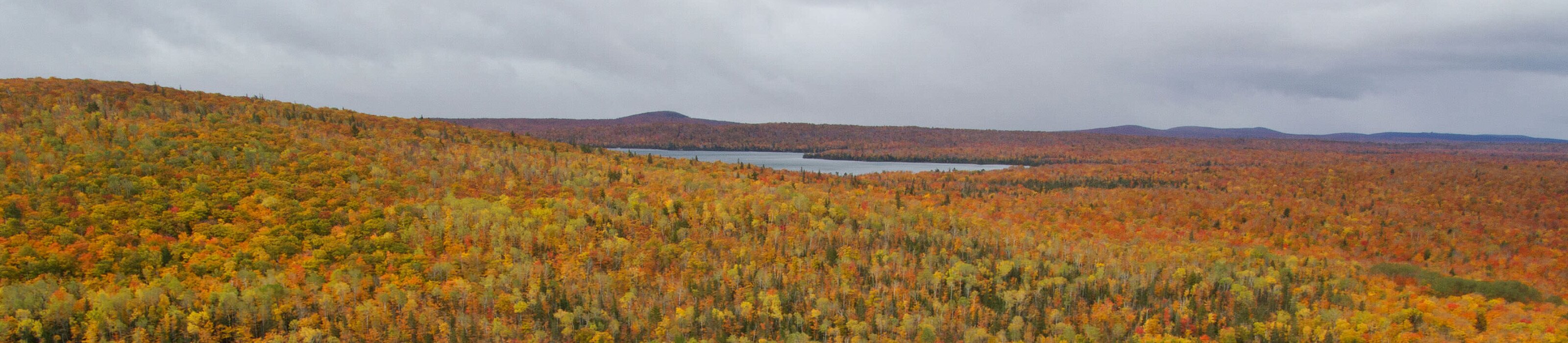 Mountain overlook surrounded by forest in the autumn time. © Jason Whalen