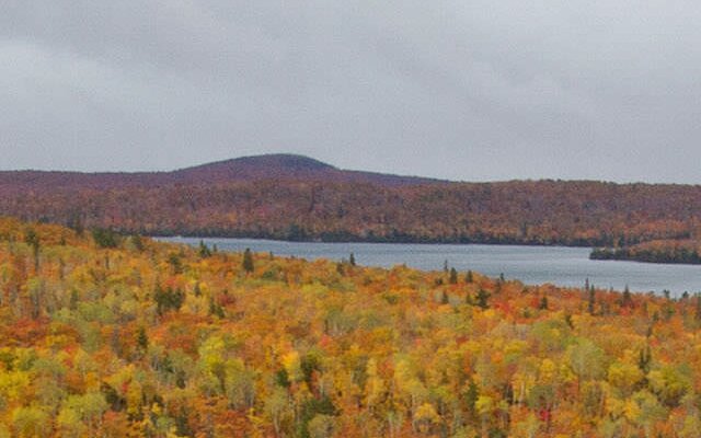 Mountain overlook surrounded by forest in the autumn time. © Jason Whalen