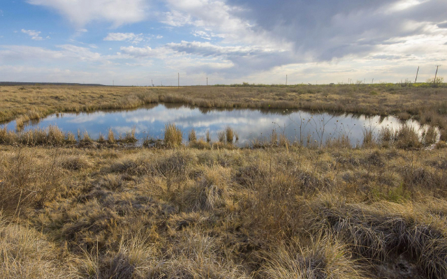 Diamond Y Spring in West Texas. © Jacqueline Ferrato/TNC